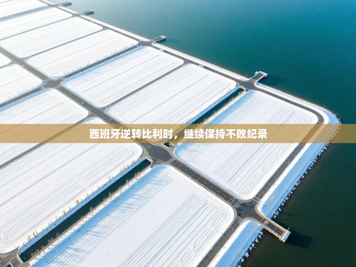 西班牙逆转比利时，继续保持不败纪录  第2张