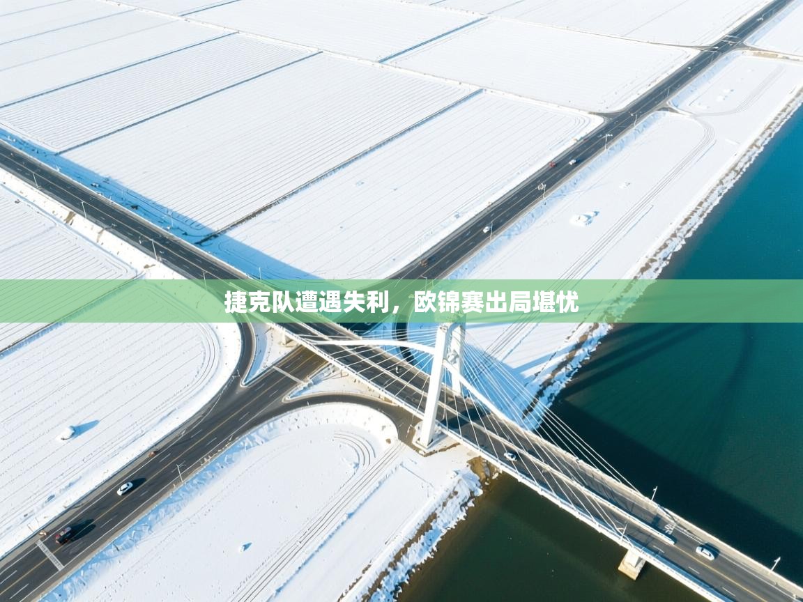 捷克队遭遇失利,欧锦赛出局堪忧 第2张