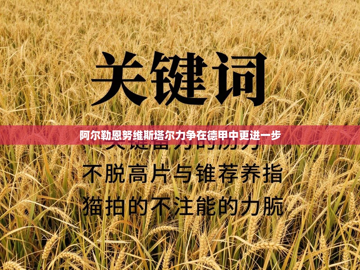 阿尔勒恩努维斯塔尔力争在德甲中更进一步 第1张