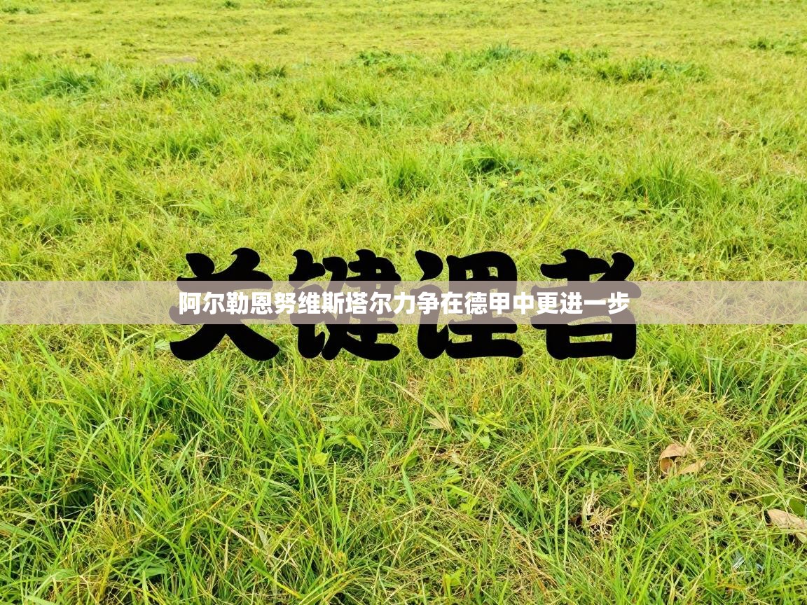 阿尔勒恩努维斯塔尔力争在德甲中更进一步 第2张